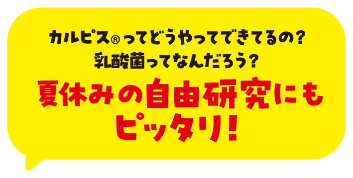 カルピスってこうやってできるんだ！