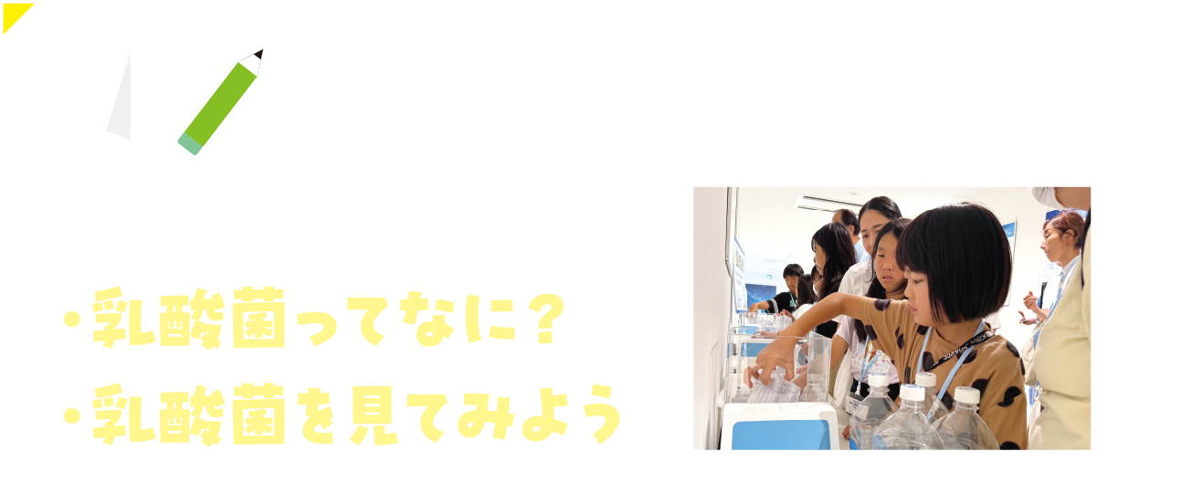乳酸菌勉強会